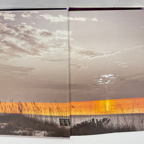 Sometimes You Fall Special Edition