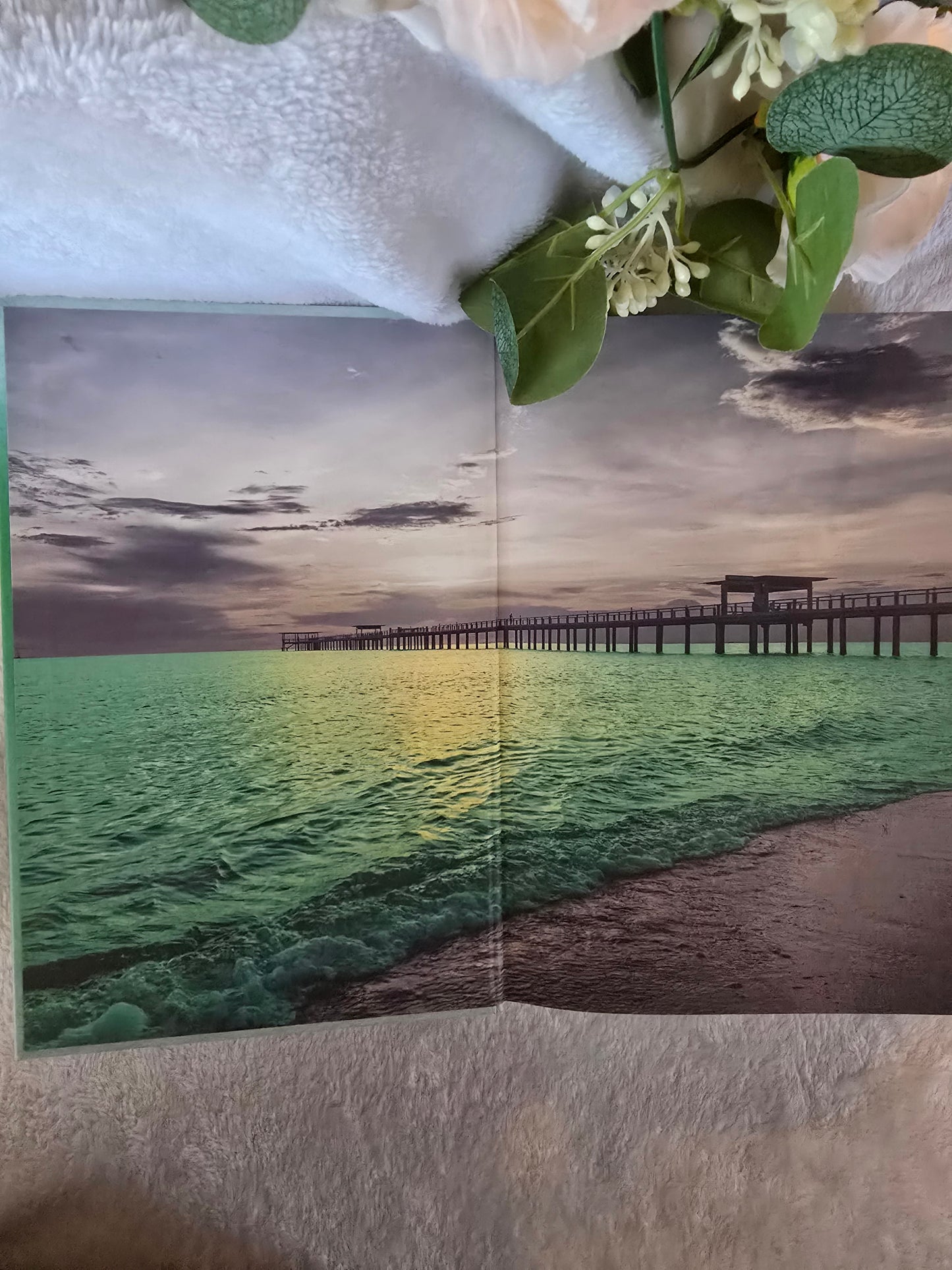 Carrington Cove Special Edition BUNDLE