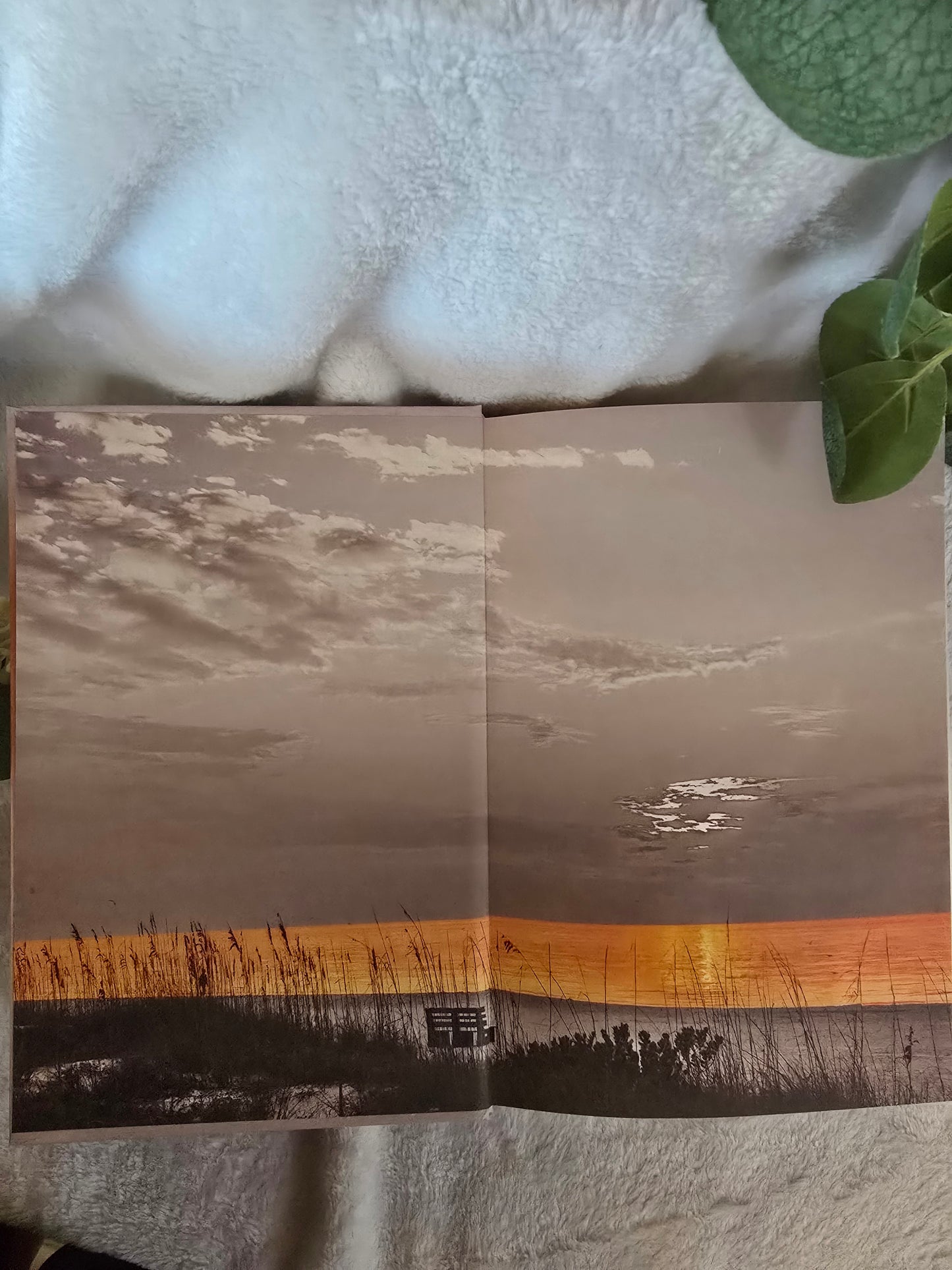 Carrington Cove Special Edition BUNDLE