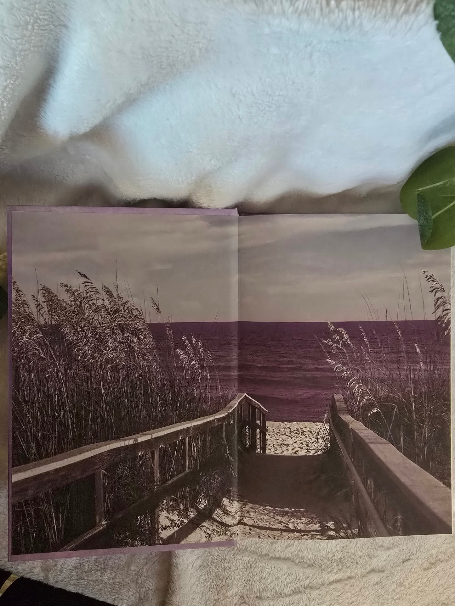 Carrington Cove Special Edition BUNDLE