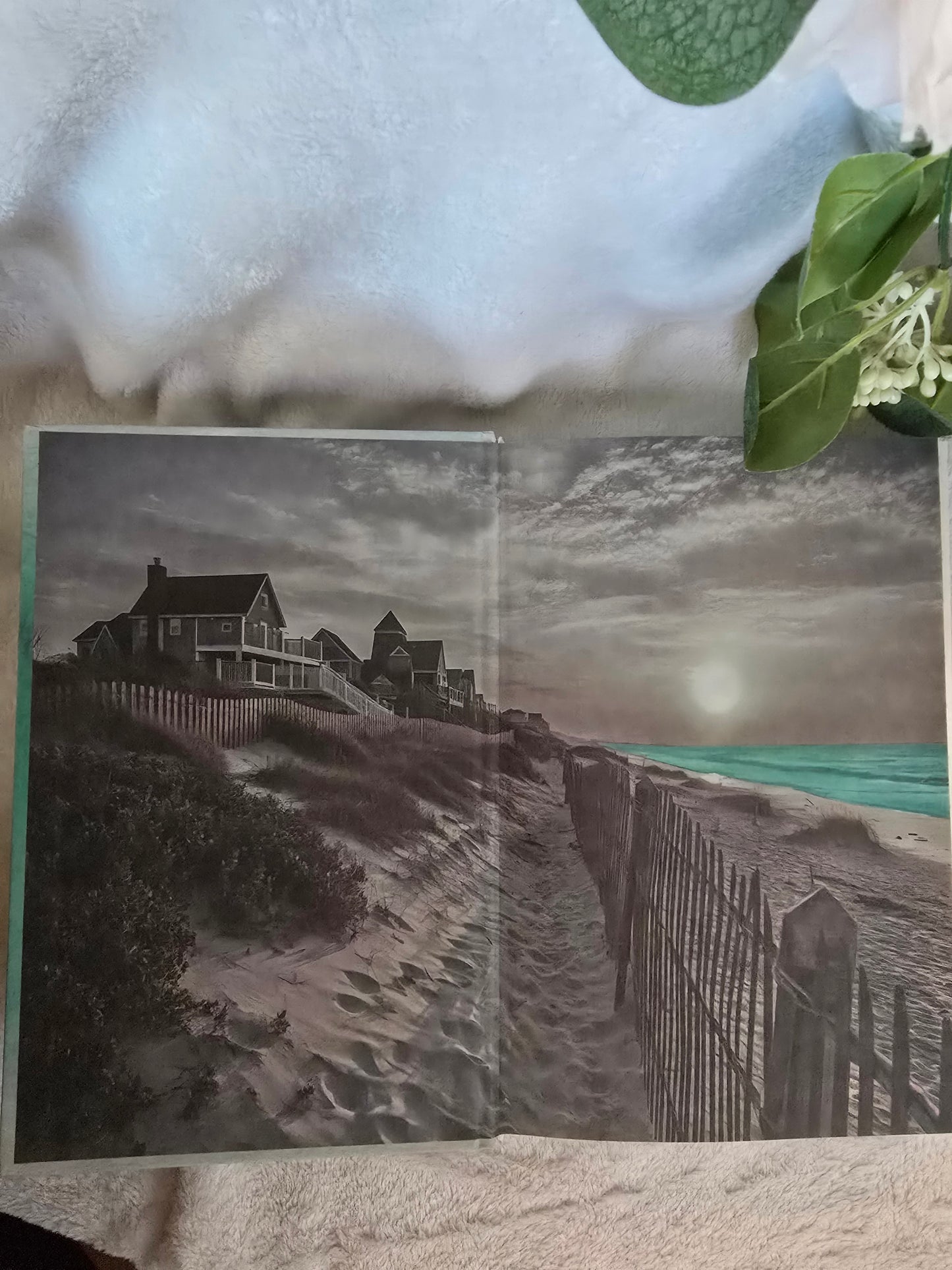 Carrington Cove Special Edition BUNDLE