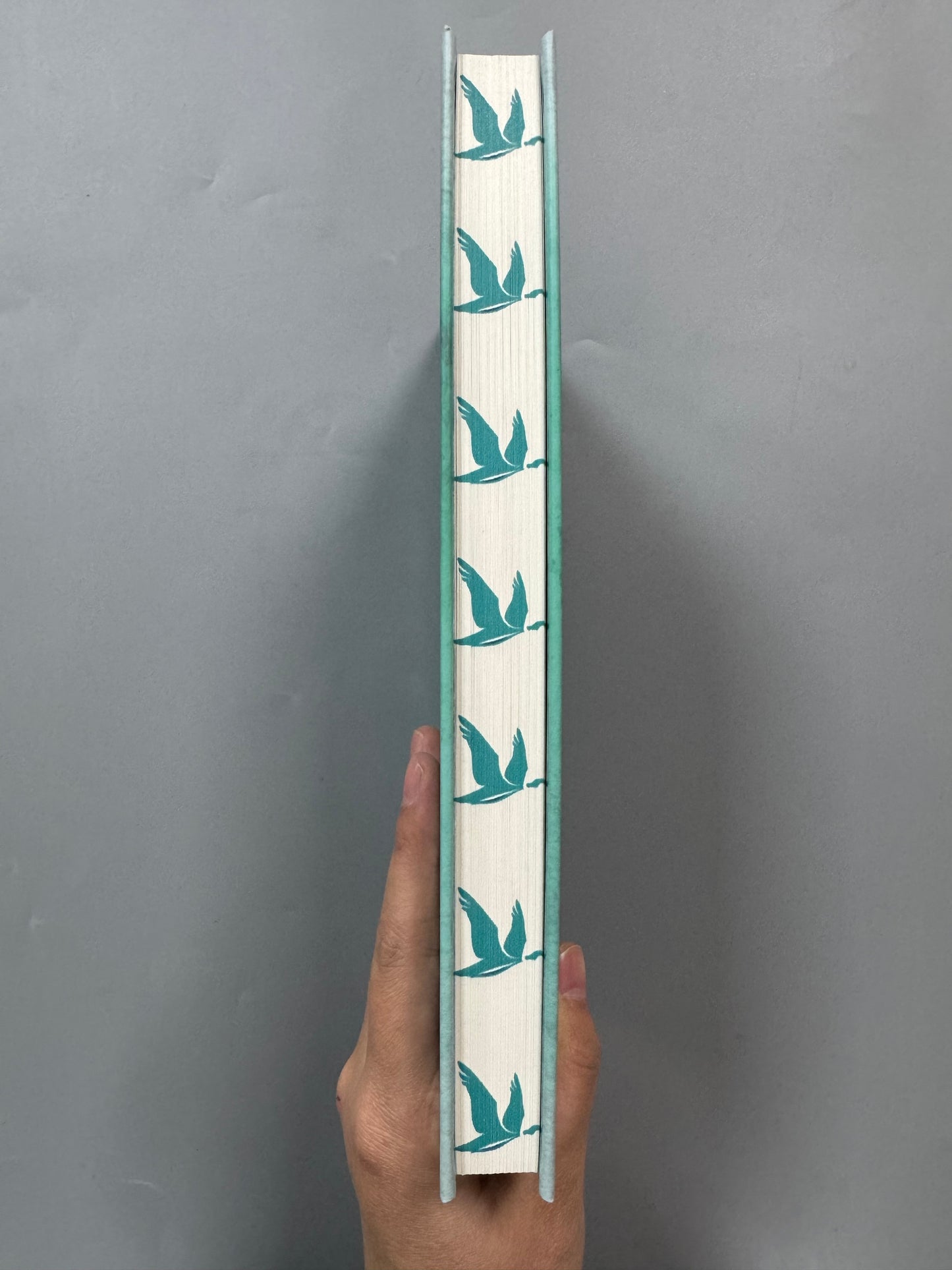 Somewhere You Belong Special Edition