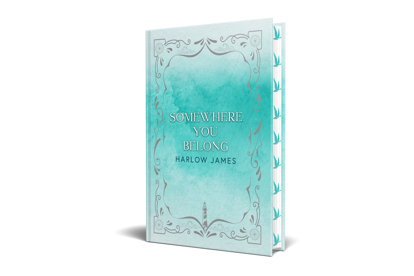 Somewhere You Belong Special Edition