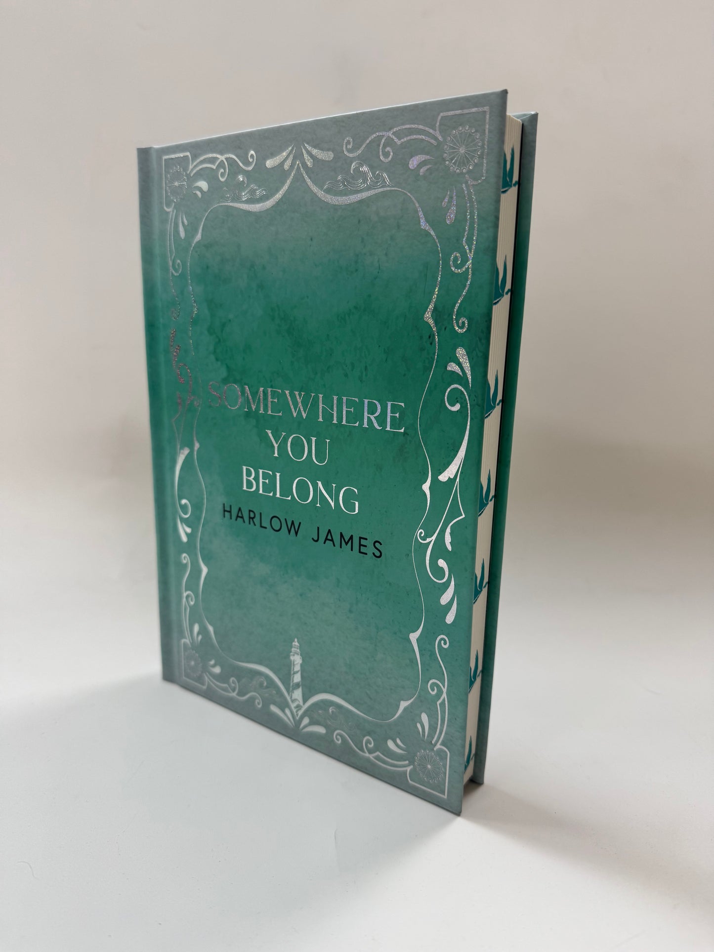 Somewhere You Belong Special Edition