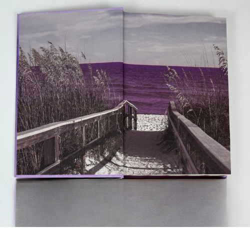 Someone You Deserve Special Edition