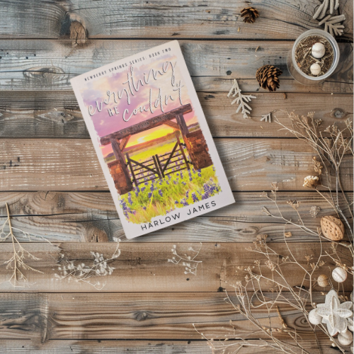 Everything He Couldn't *Discreet*